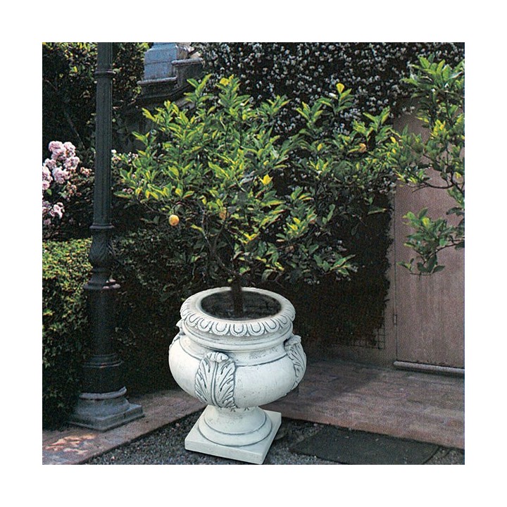 Vaso mod. Viterbo