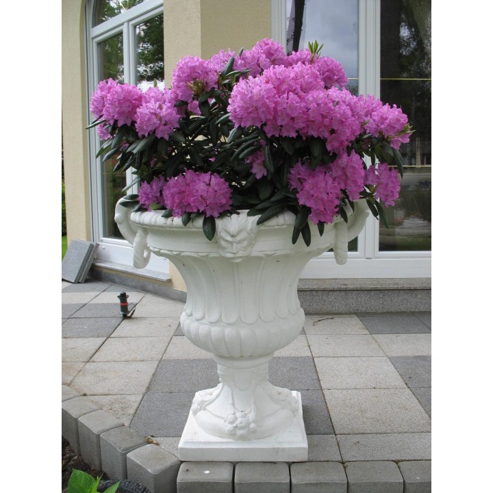 Vase Modell "Felce"