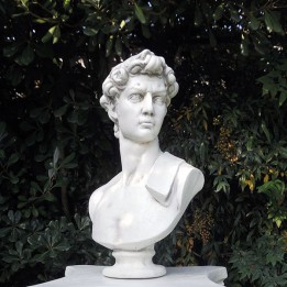 Busto David