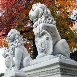 Coppia leone con scudo - statue da giardino in graniglia di marmo di Carrara 100% Made in Italy