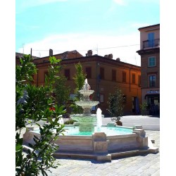 Fountain Nardis