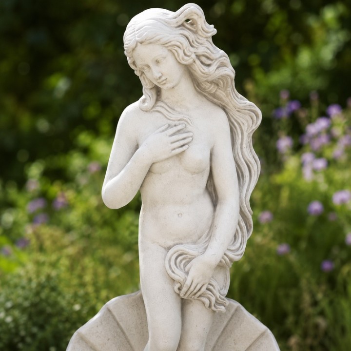Venus rising