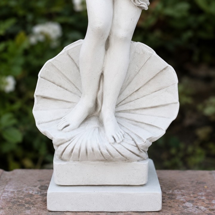 Venus rising