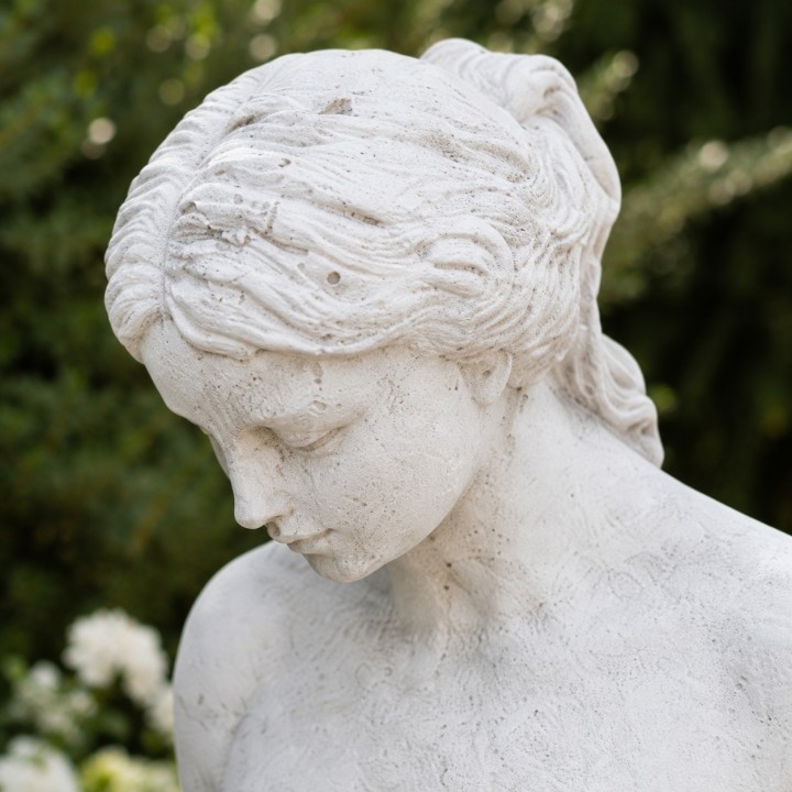 Venus der Jugend