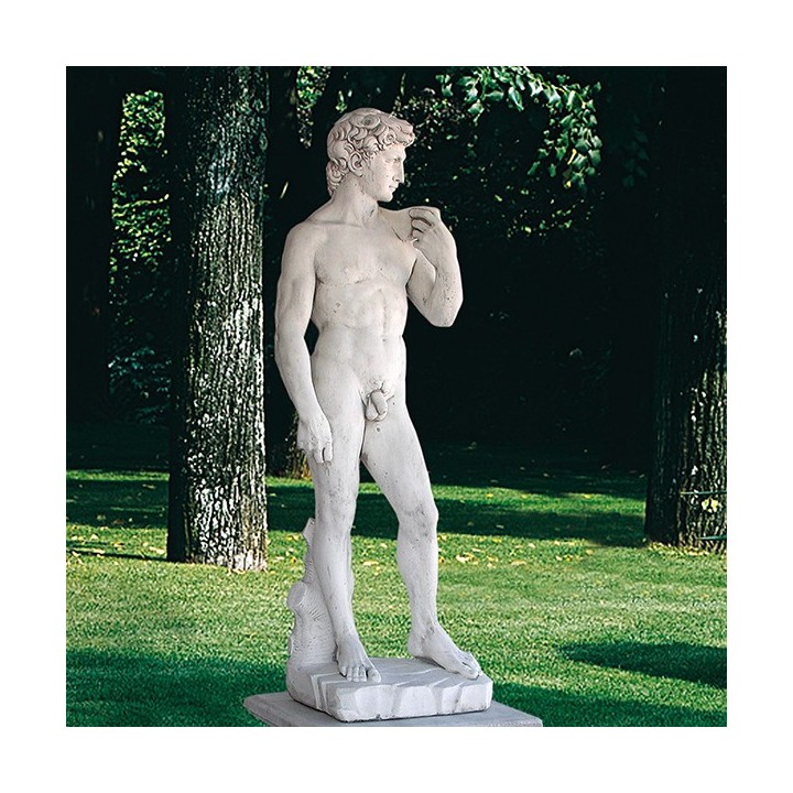 Michelangelo's David