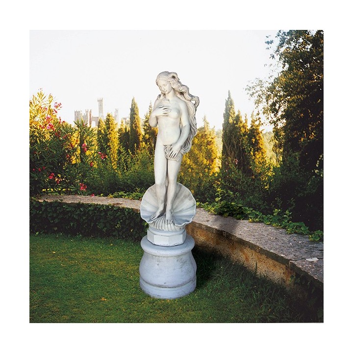 Venusaufgang