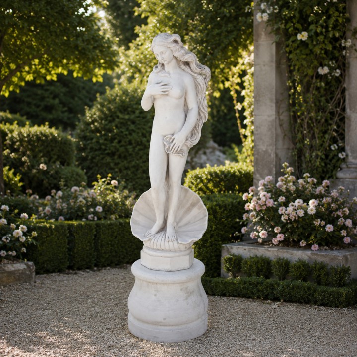 Venusaufgang