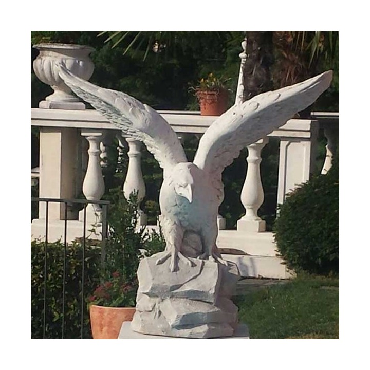Condor