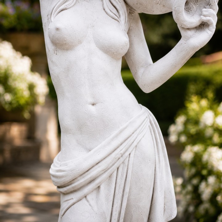 Venus Canefore