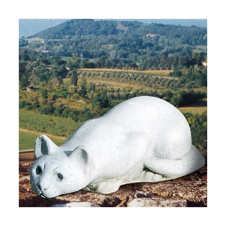 Siamese Cat