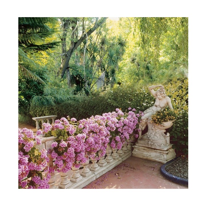 Venus dreamy