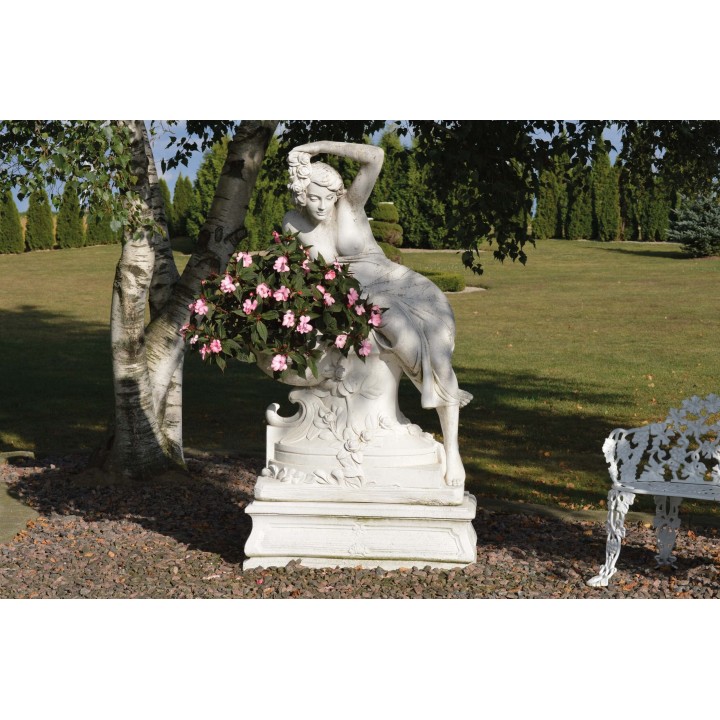 Venus de rêve