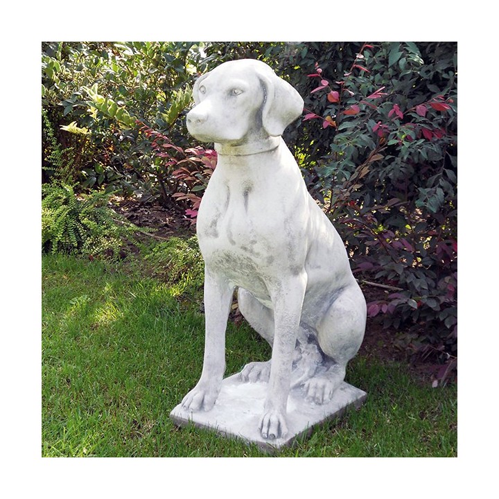 Hound