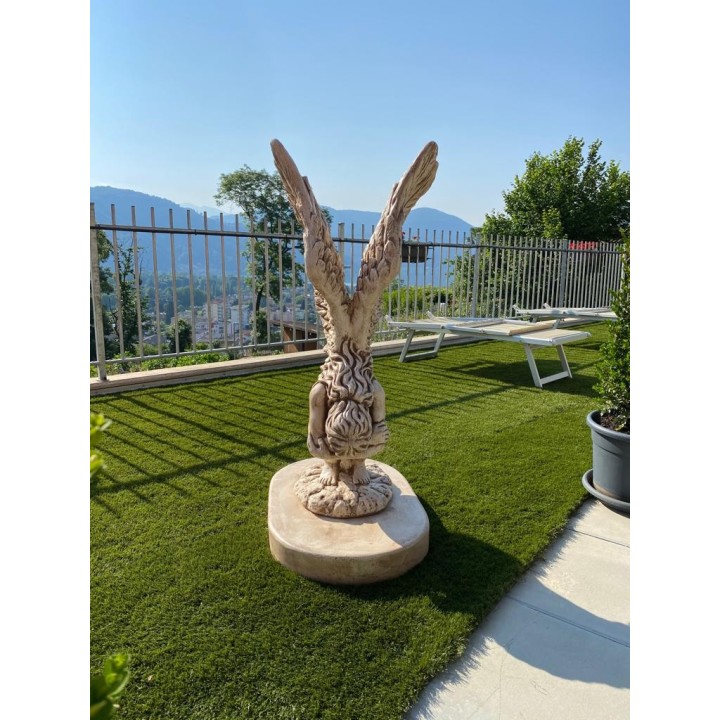 Wind fairy (air fairy)