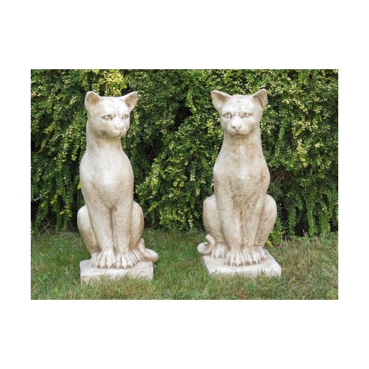 Cats Lucifer (pair)