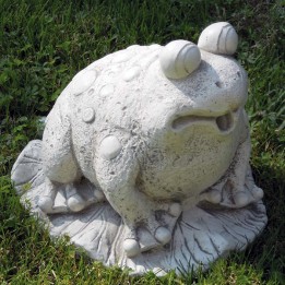 Frosch