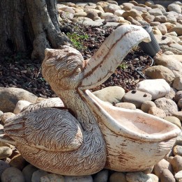 Pellicano