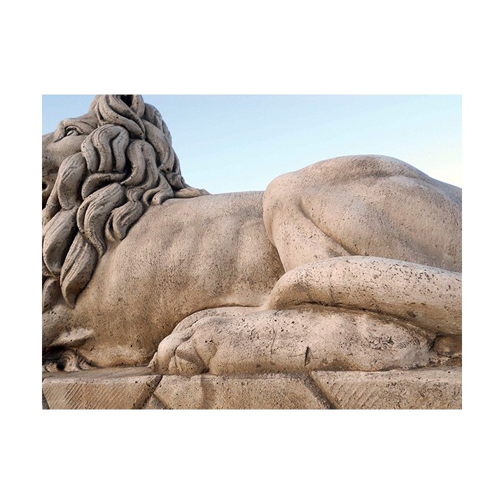 Couple lions mod. Colosseum