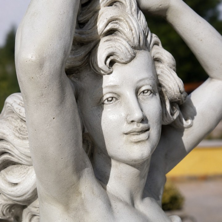 Venere in ginocchio