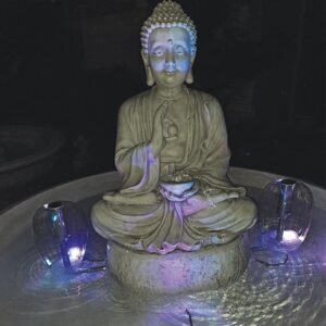 Fontana Zen