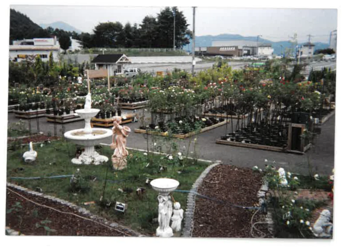 Nei garden center del Giappone